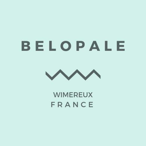 Belopale @ Residence La Belle Epoque Wimereux Eksteriør bilde